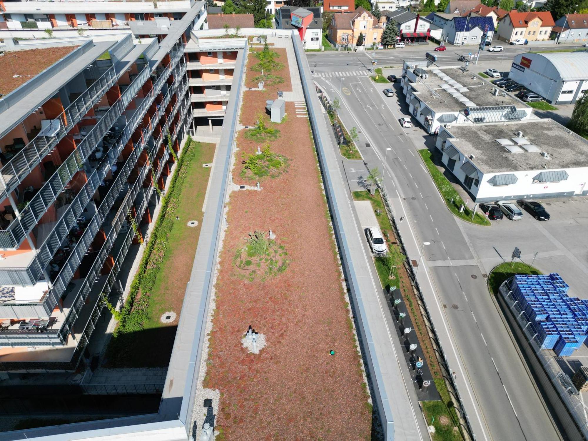 Апартаменты 100 Qm Penthouse, Self-Check-In, 2 Parkplaetze Грац Экстерьер фото